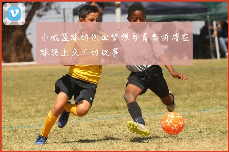 小城篮球的热血梦想与青春拼搏在球场上交汇的故事
