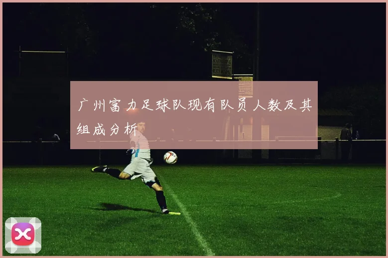 广州富力足球队现有队员人数及其组成分析