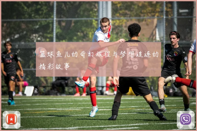 篮球鱼儿的奇幻旅程与梦想追逐的精彩故事
