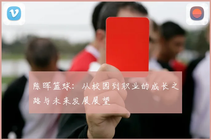 陈晖篮球：从校园到职业的成长之路与未来发展展望